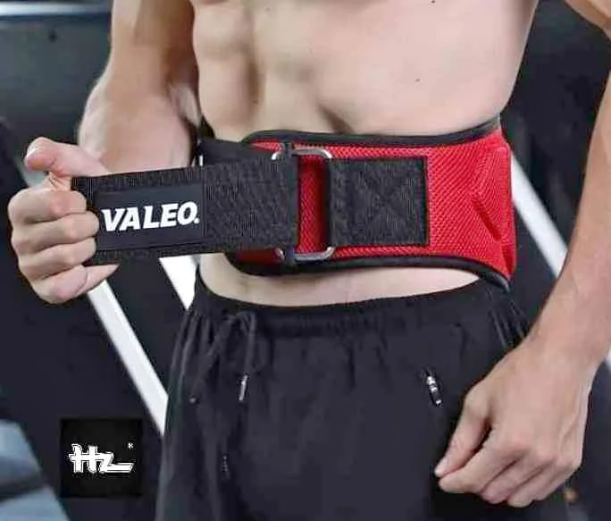 Cinturon Valeo